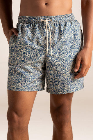 Pantaloneta bahía