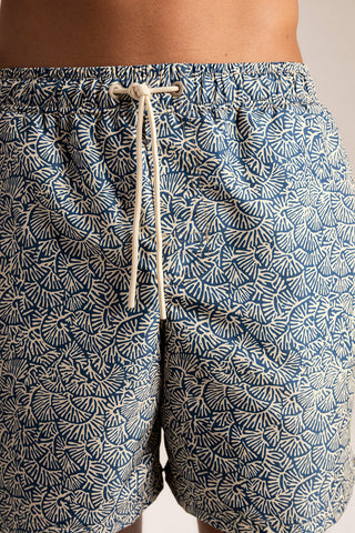 Pantaloneta bahía